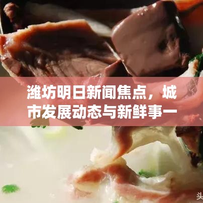 潍坊明日新闻焦点，城市发展动态与新鲜事一网打尽