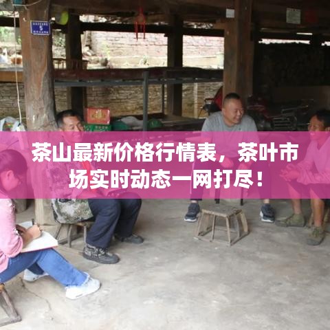 茶山最新价格行情表，茶叶市场实时动态一网打尽！