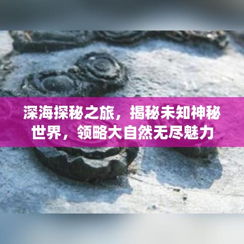 深海探秘之旅，揭秘未知神秘世界，领略大自然无尽魅力