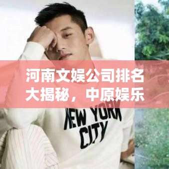 河南文娱公司排名大揭秘，中原娱乐产业繁荣之巅探索