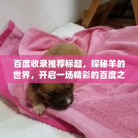 百度收录推荐标题，探秘羊的世界，开启一场精彩的百度之旅。
