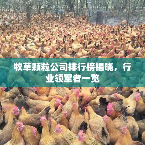 牧草颗粒公司排行榜揭晓，行业领军者一览