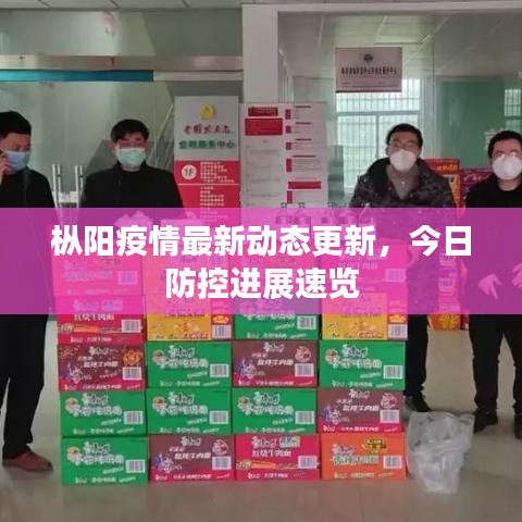 枞阳疫情最新动态更新，今日防控进展速览