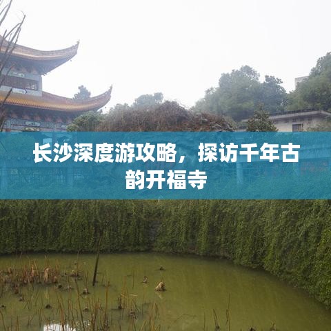 长沙深度游攻略，探访千年古韵开福寺