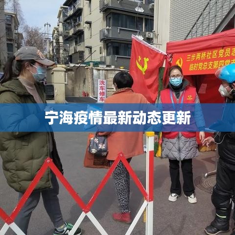 宁海疫情最新动态更新
