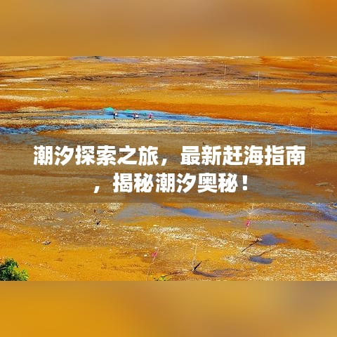 潮汐探索之旅，最新赶海指南，揭秘潮汐奥秘！