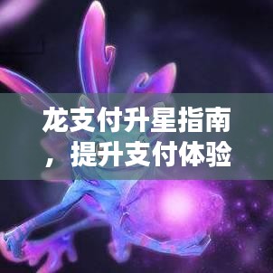龙支付升星指南，提升支付体验，享受升级福利