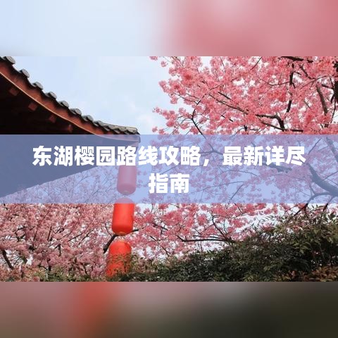 东湖樱园路线攻略，最新详尽指南