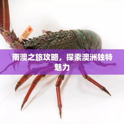 2025年6月 第35页
