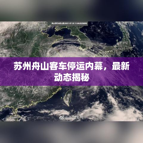 苏州舟山客车停运内幕，最新动态揭秘