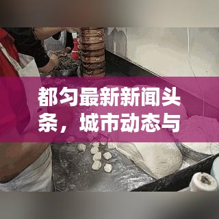 都匀最新新闻头条，城市动态与生活瞬间