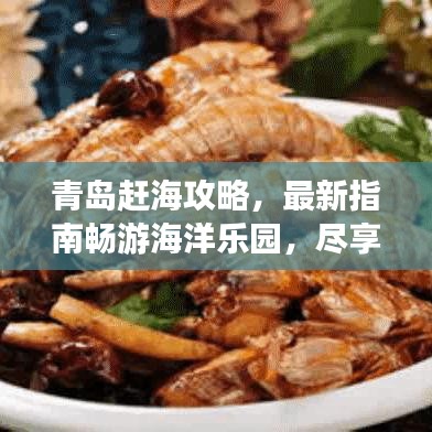 青岛赶海攻略，最新指南畅游海洋乐园，尽享海边乐趣！