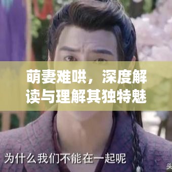萌妻难哄，深度解读与理解其独特魅力