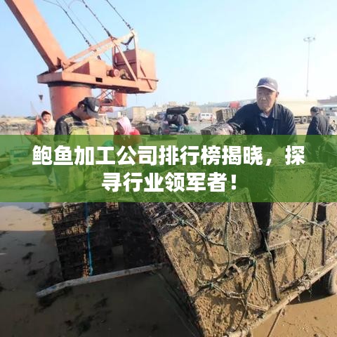 鲍鱼加工公司排行榜揭晓，探寻行业领军者！