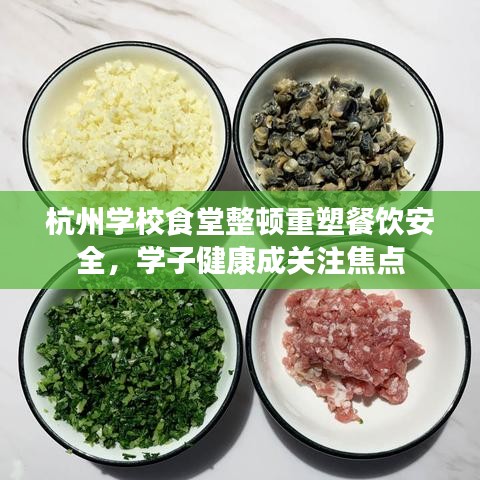 杭州学校食堂整顿重塑餐饮安全，学子健康成关注焦点