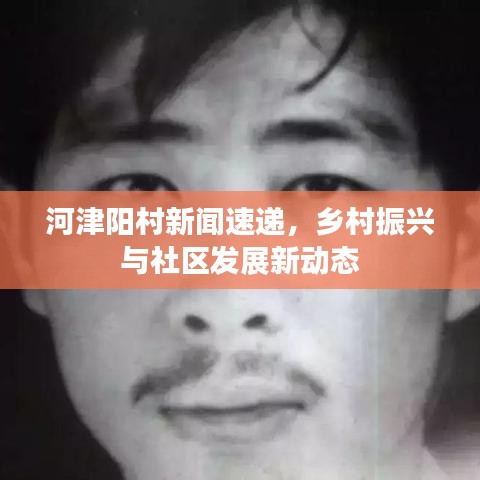 河津阳村新闻速递，乡村振兴与社区发展新动态