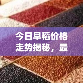 今日早稻价格走势揭秘，最新报价、市场趋势及影响因素深度解析