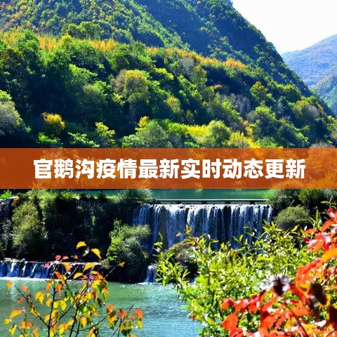 官鹅沟疫情最新实时动态更新