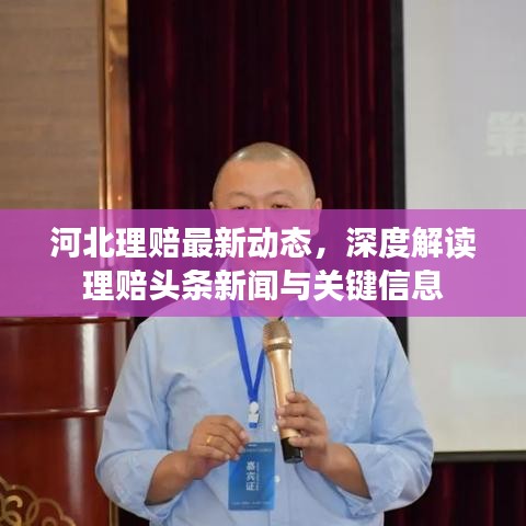 河北理赔最新动态，深度解读理赔头条新闻与关键信息