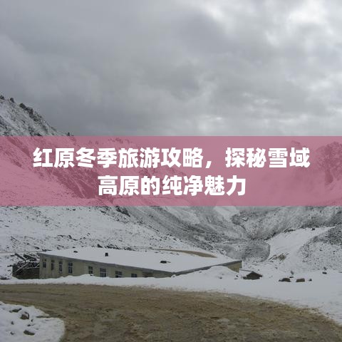 红原冬季旅游攻略，探秘雪域高原的纯净魅力