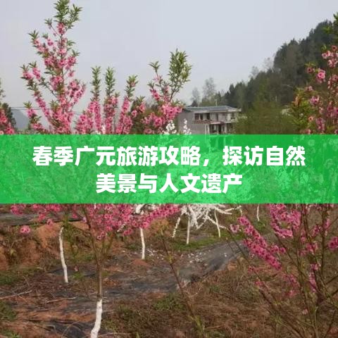春季广元旅游攻略，探访自然美景与人文遗产