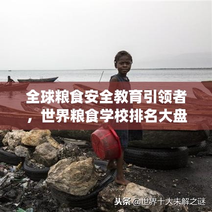 全球粮食安全教育引领者，世界粮食学校排名大盘点