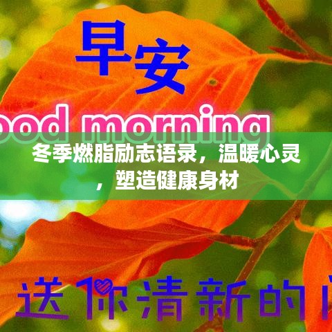 冬季燃脂励志语录，温暖心灵，塑造健康身材
