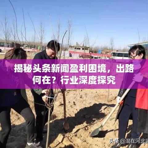 揭秘头条新闻盈利困境，出路何在？行业深度探究