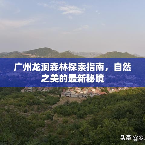 广州龙洞森林探索指南，自然之美的最新秘境