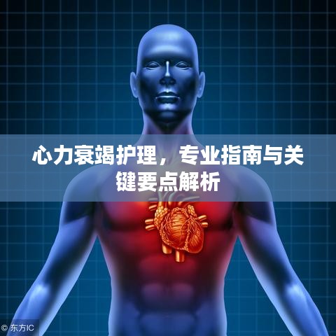 心力衰竭护理，专业指南与关键要点解析