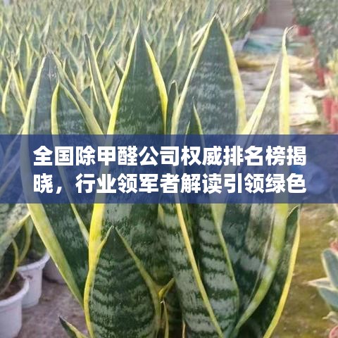 全国除甲醛公司权威排名榜揭晓，行业领军者解读引领绿色生活潮流