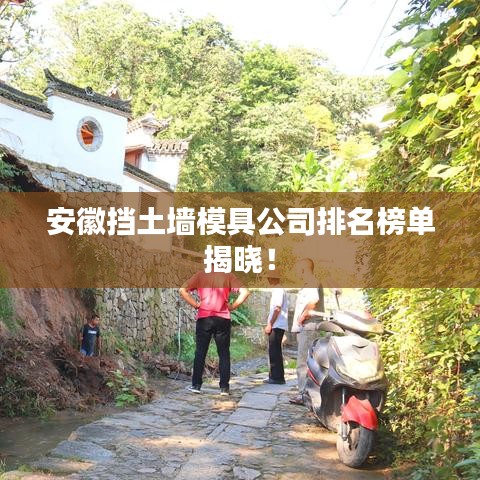 安徽挡土墙模具公司排名榜单揭晓！