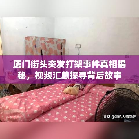 厦门街头突发打架事件真相揭秘，视频汇总探寻背后故事