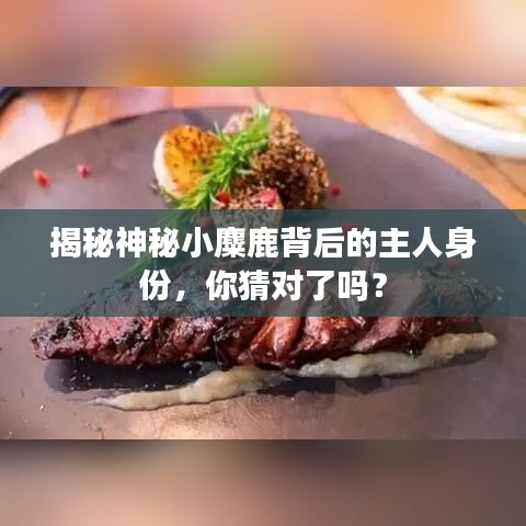 2025年6月 第100页