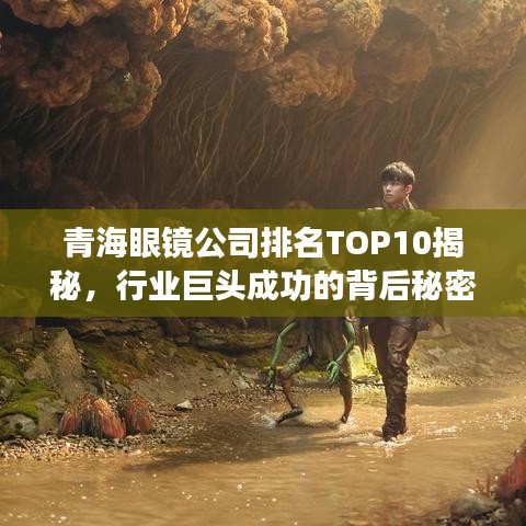 青海眼镜公司排名TOP10揭秘，行业巨头成功的背后秘密