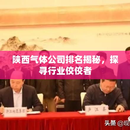 陕西气体公司排名揭秘，探寻行业佼佼者