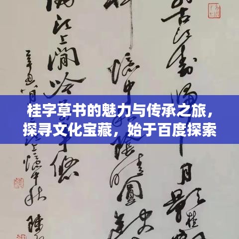 桂字草书的魅力与传承之旅，探寻文化宝藏，始于百度探索