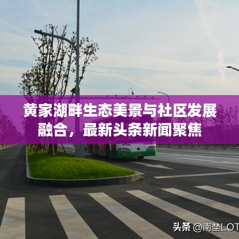 黄家湖畔生态美景与社区发展融合，最新头条新闻聚焦