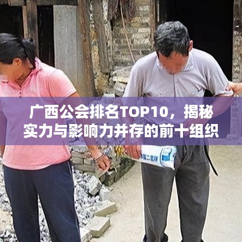 广西公会排名TOP10，揭秘实力与影响力并存的前十组织