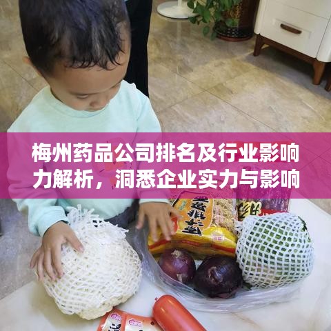 梅州药品公司排名及行业影响力解析，洞悉企业实力与影响力