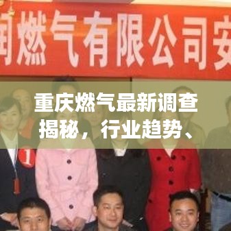 重庆燃气最新调查揭秘，行业趋势、市场分析以及未来展望