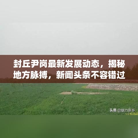 封丘尹岗最新发展动态，揭秘地方脉搏，新闻头条不容错过
