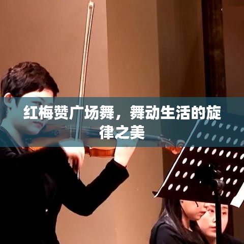 红梅赞广场舞，舞动生活的旋律之美