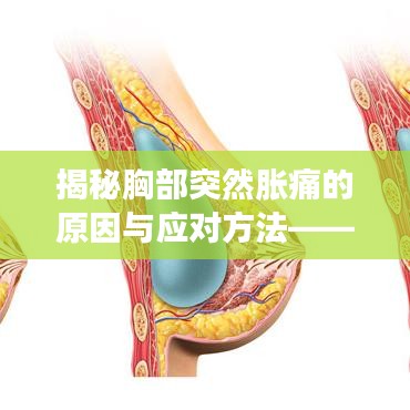 揭秘胸部突然胀痛的原因与应对方法——百度为您解答