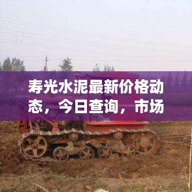 寿光水泥最新价格动态，今日查询，市场走势及影响因素深度解析