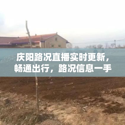 庆阳路况直播实时更新，畅通出行，路况信息一手掌握