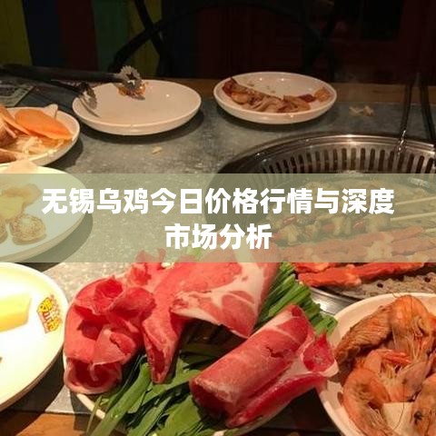 无锡乌鸡今日价格行情与深度市场分析