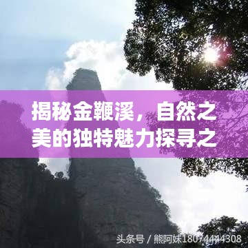 揭秘金鞭溪，自然之美的独特魅力探寻之旅