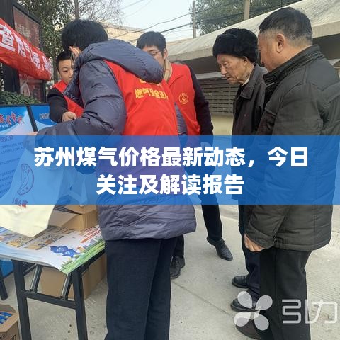 苏州煤气价格最新动态，今日关注及解读报告