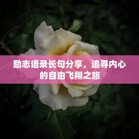 励志语录长句分享，追寻内心的自由飞翔之旅